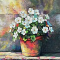 A Pot of White Flowers