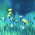Dandelions