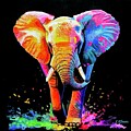 Elephant in Colour