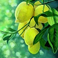 Lemons in Golden Embrace
